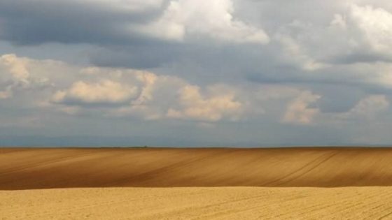 Pixel Plow header image