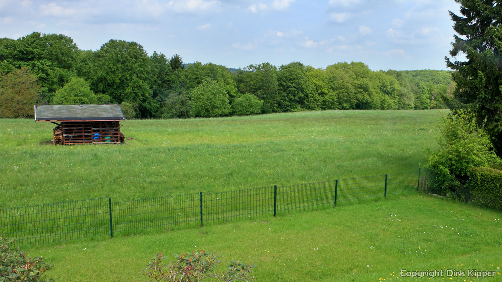 Greens in front of my house 1 (Coypright by Dirk Kipper).jpg Greens in front of my house 1 (Coypright by Dirk Kipper).jpg