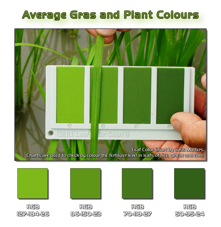 Average Gras and Plant Colours.jpg