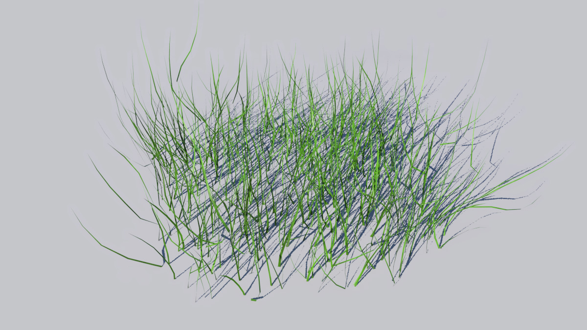 Grass Patch 1 by Dune.jpg