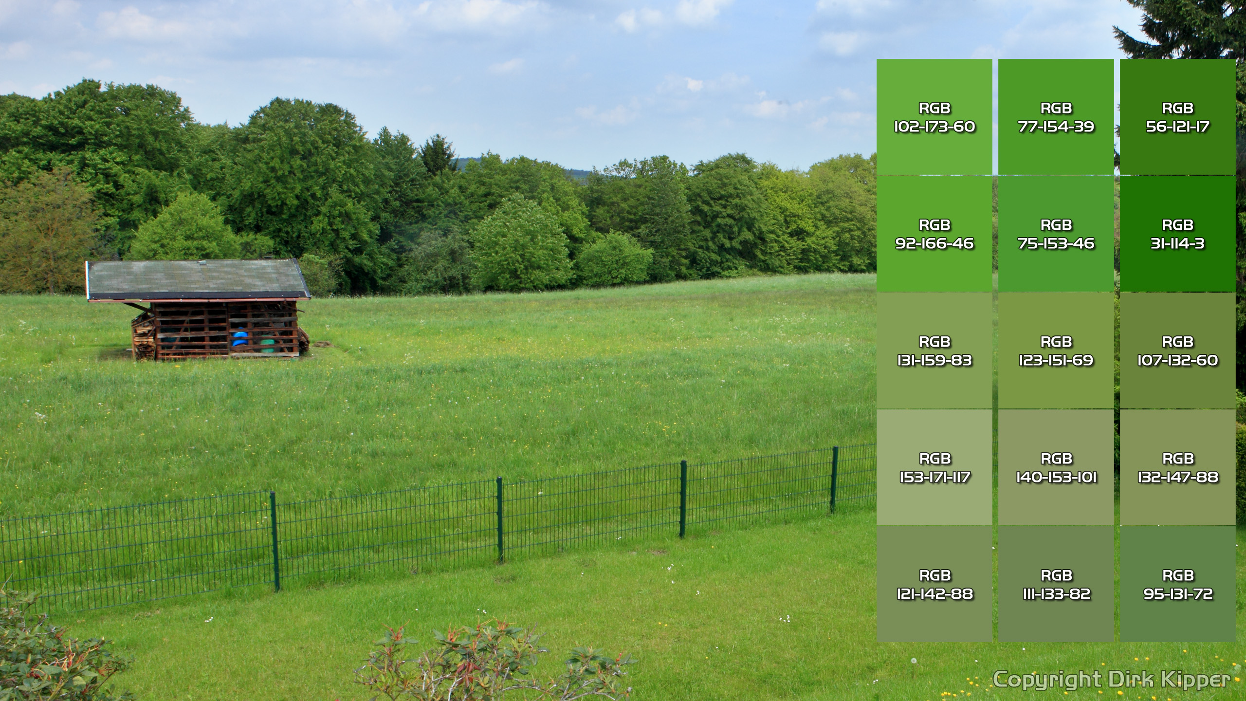 Greens in front of my house with colour chart (Coypright by Dirk Kipper).jpg Greens in front of my house with colour chart (Coypright by Dirk Kipper).jpg