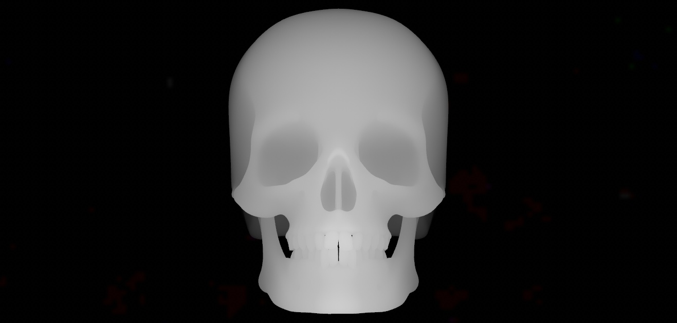 skull_front.jpg