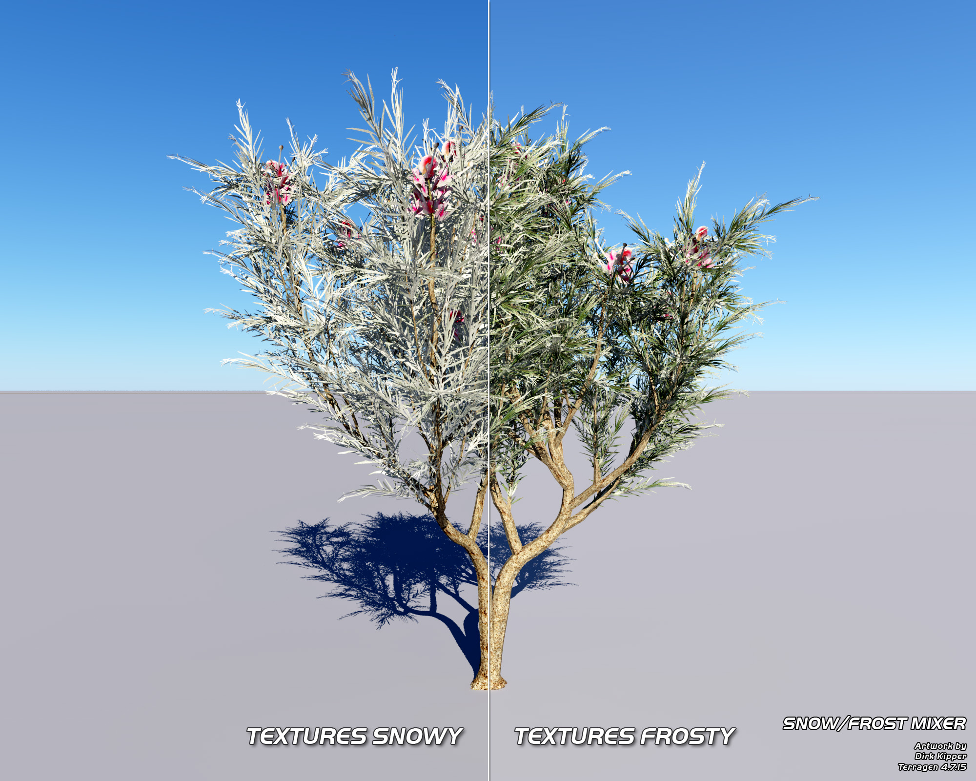 2000 x 1600 - Colour Variations in Vegetation (Grevillea Rosmarinifolia) - Snow-Ice Mixer.jpg