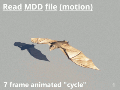 MDD animated flap cycle.