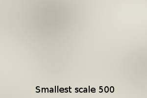 SmallestScale.gif