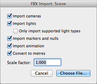 FBX Import: Scene