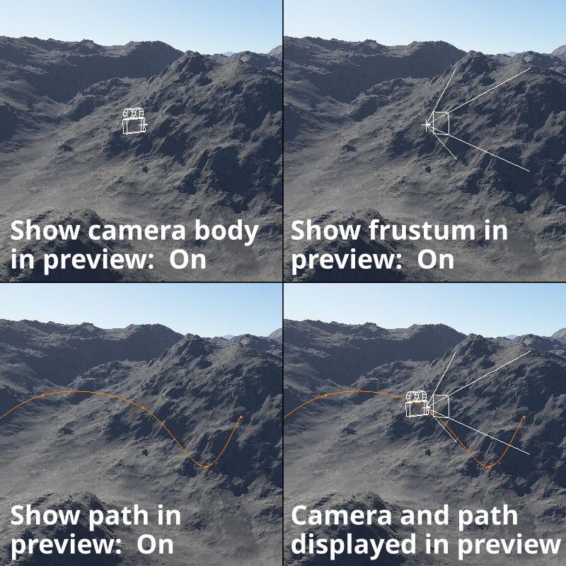 Camera display options in 3D Preview