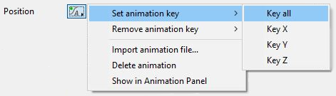 Animation button options