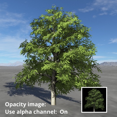 Tree image assigned to Opacity image setting and Use alpha channel enabled.