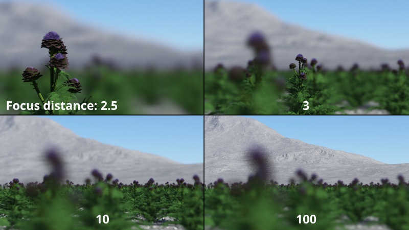 The Focus distance setting determines the distance from the camera which will be in focus.