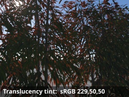 Translucency tint = sRGB 229,50,50